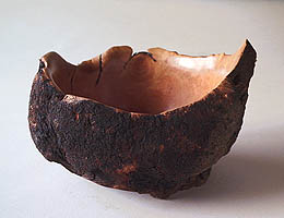 MAL2 copysml.jpg (15552 bytes)